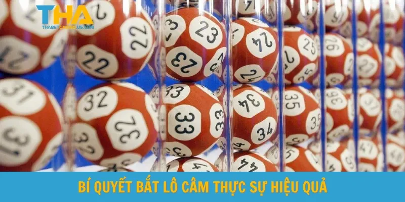 Bí quyết bắt lô câm thực sự hiệu quả