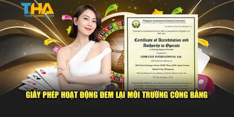 Sự quan trọng của giấy phép